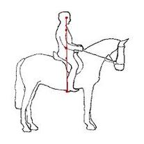 The Correct Riding Position Equestrian Reference